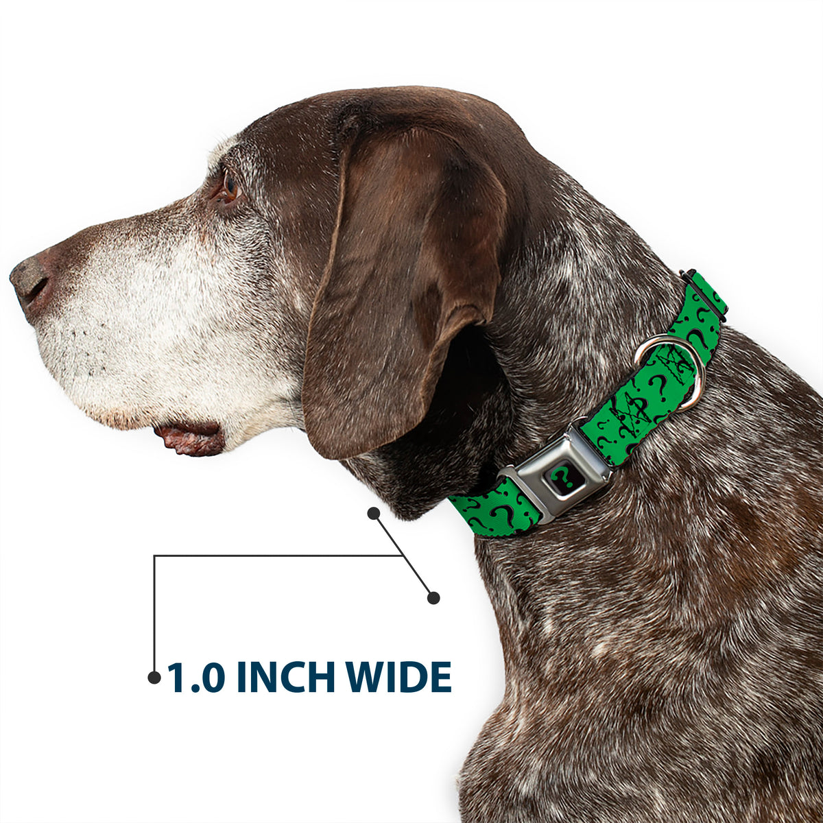 Riddler "?" Black/Green Seatbelt Buckle Collar - Question Mark Scattered3 Dark Green/Black Dog Collars Seatbelt Buckle DC Comics