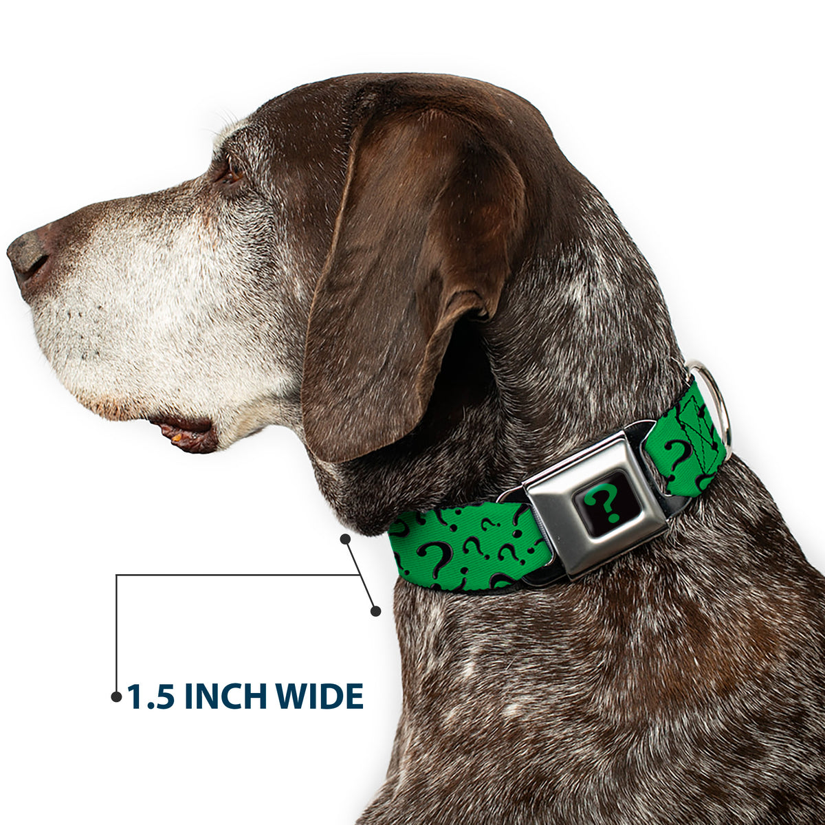 Riddler "?" Black/Green Seatbelt Buckle Collar - Question Mark Scattered3 Dark Green/Black Dog Collars Seatbelt Buckle DC Comics