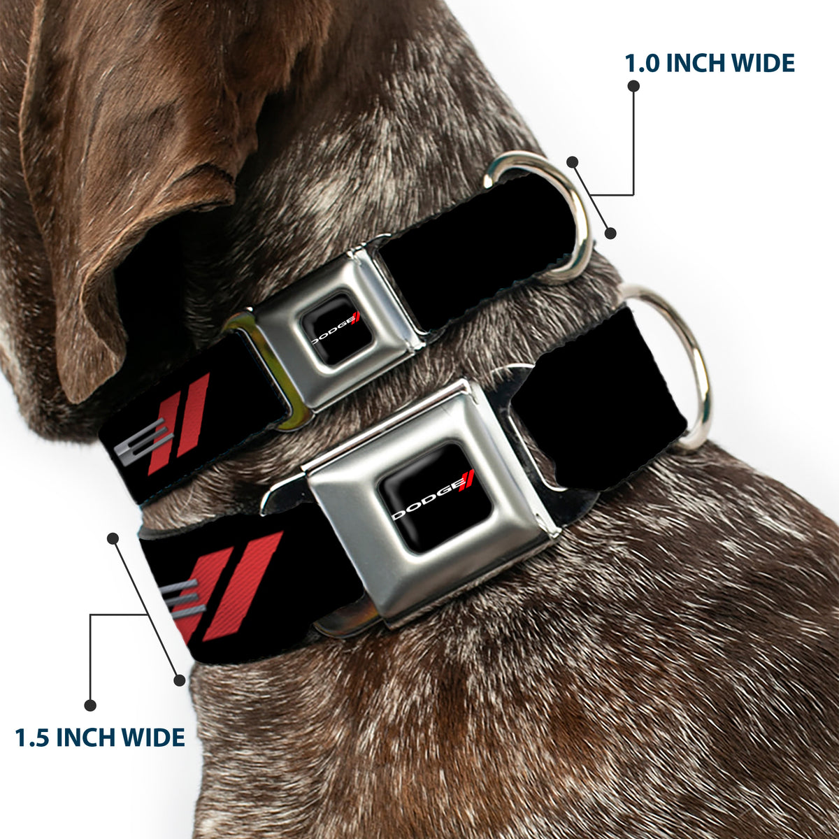 Dodge Red Rhombus Full Color Seatbelt Buckle Collar - Dodge Red Rhombus REPEAT Dog Collars Seatbelt Buckle Dodge