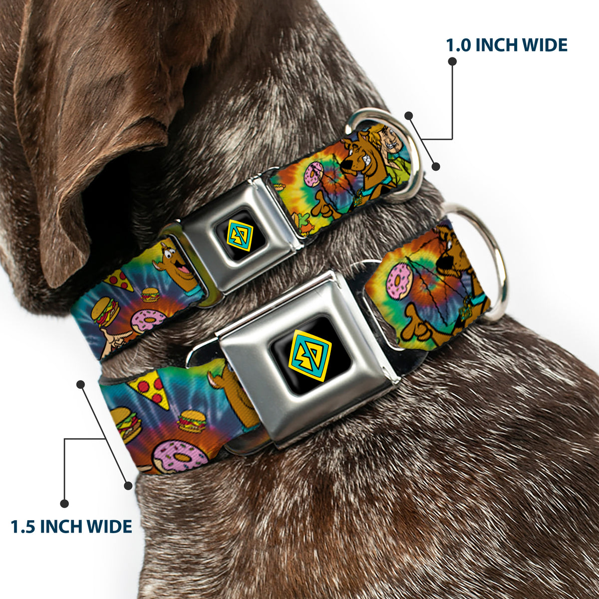 Scooby Doo Dog Tag Full Color Seatbelt Buckle Collar - Scooby Doo and Shaggy Poses/Munchies Tie Dye Multi Color Dog Collars Seatbelt Buckle Scooby Doo