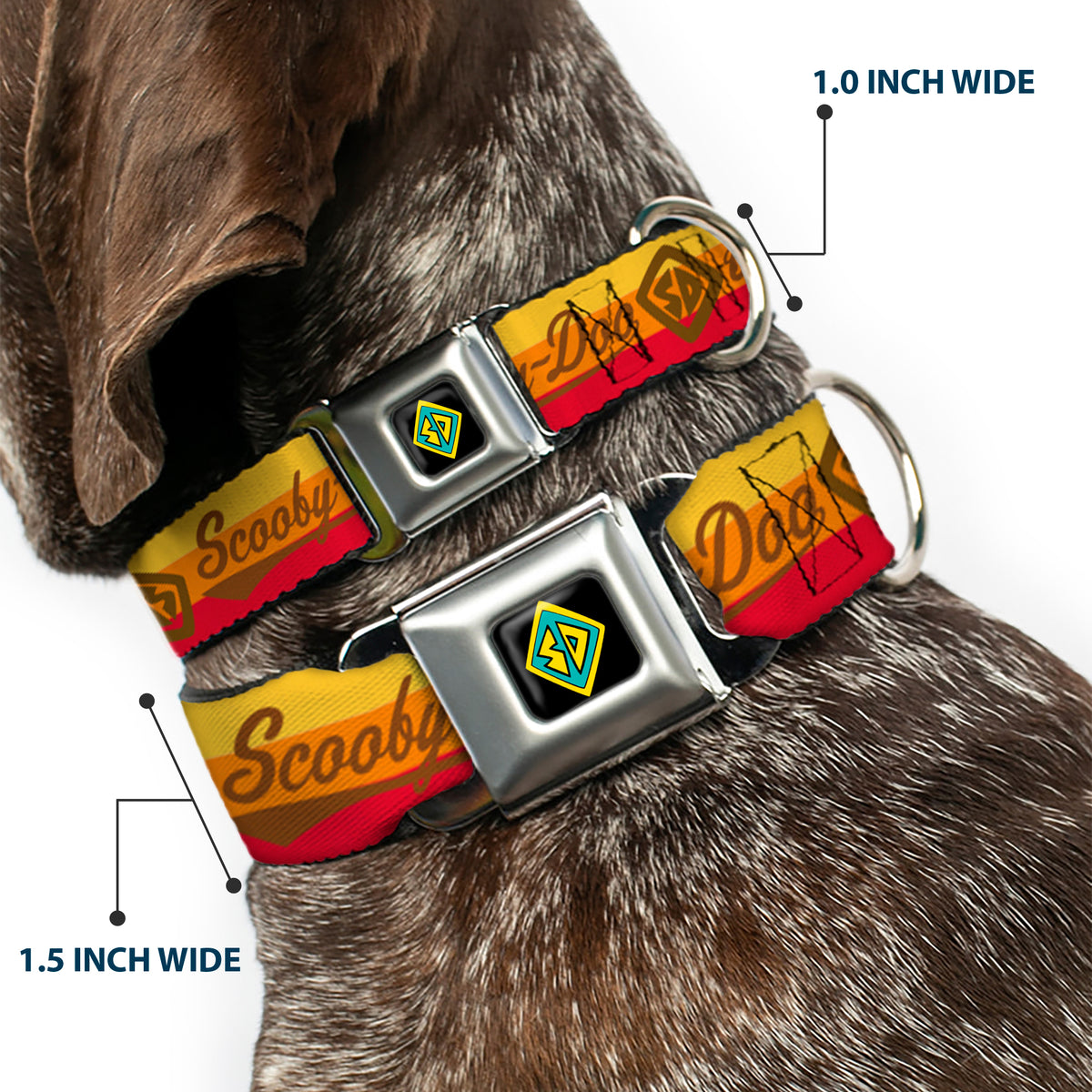 Scooby Doo Dog Tag Full Color Seatbelt Buckle Collar - SCOOBY-DOO Script/SD Icon Stripe Yellow/Orange/Red/Brown Dog Collars Seatbelt Buckle Scooby Doo