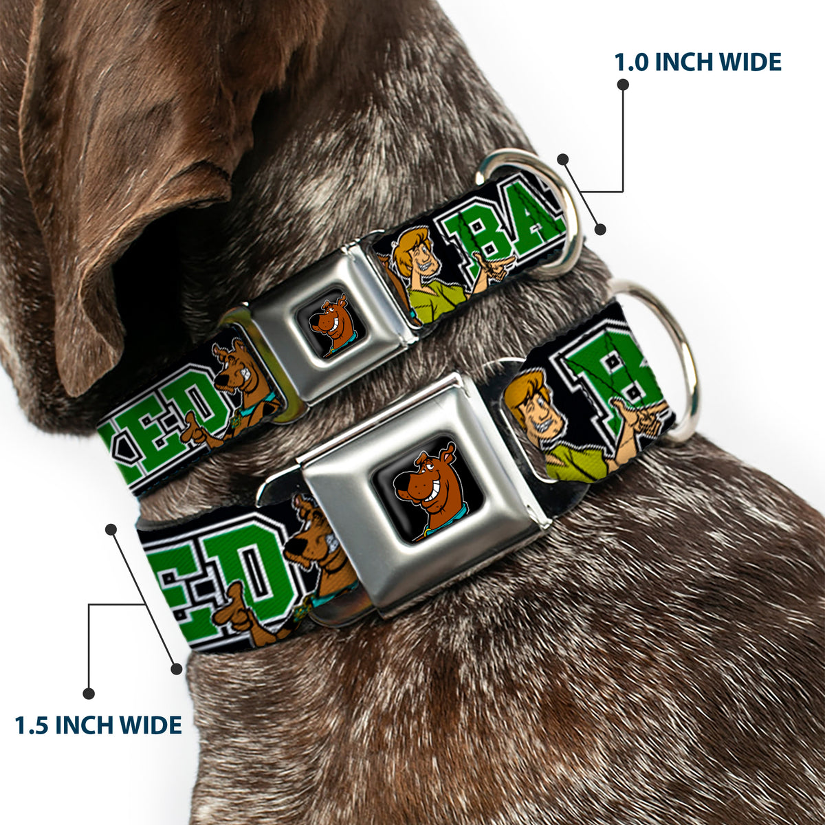 Scooby Doo Face Full Color Black Seatbelt Buckle Collar - Scooby Doo & Shaggy Pose/BAKED Black/Green Dog Collars Seatbelt Buckle Scooby Doo