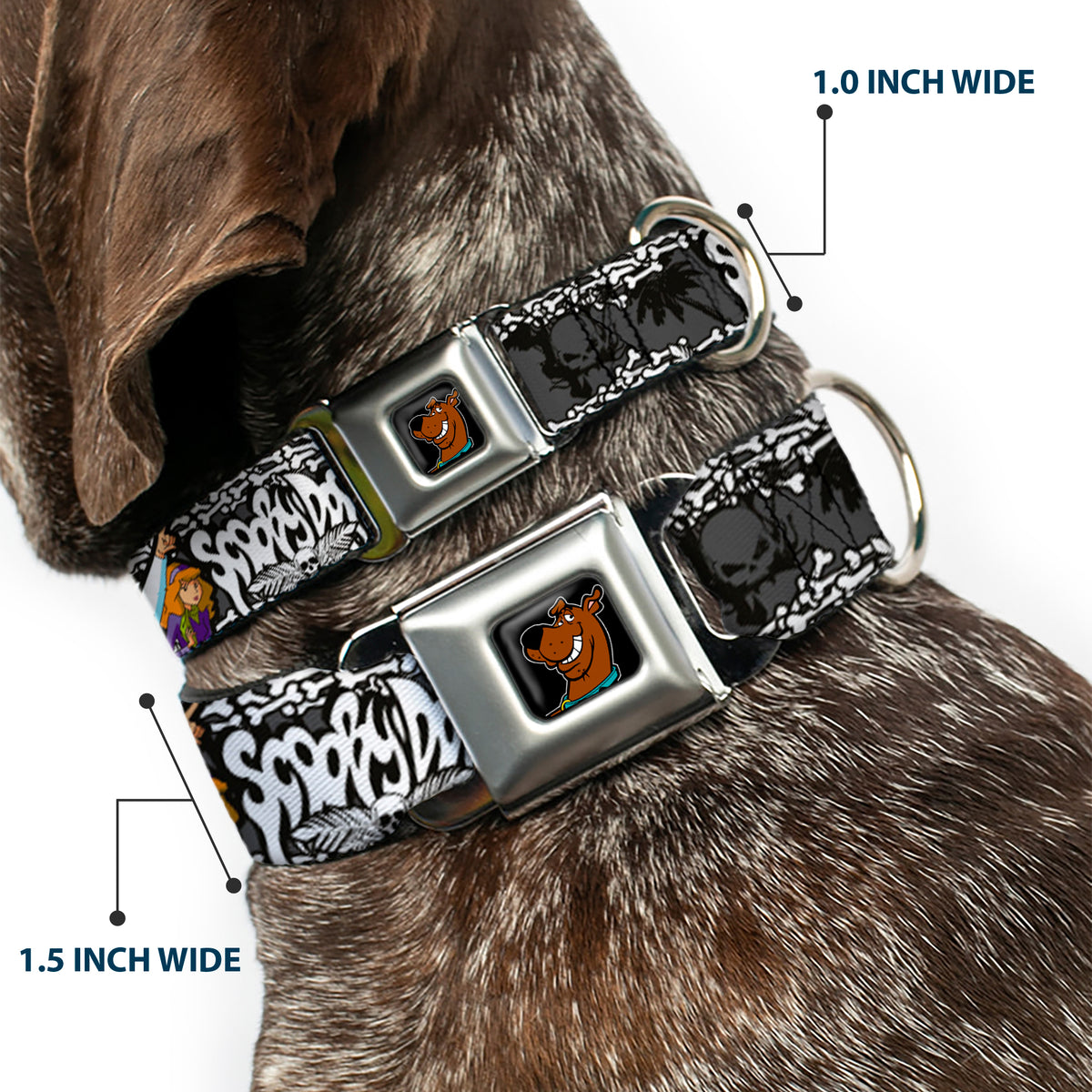 Scooby Doo Face Full Color Black Seatbelt Buckle Collar - SCOOBY DOO Group Pose/Bones Dog Collars Seatbelt Buckle Scooby Doo