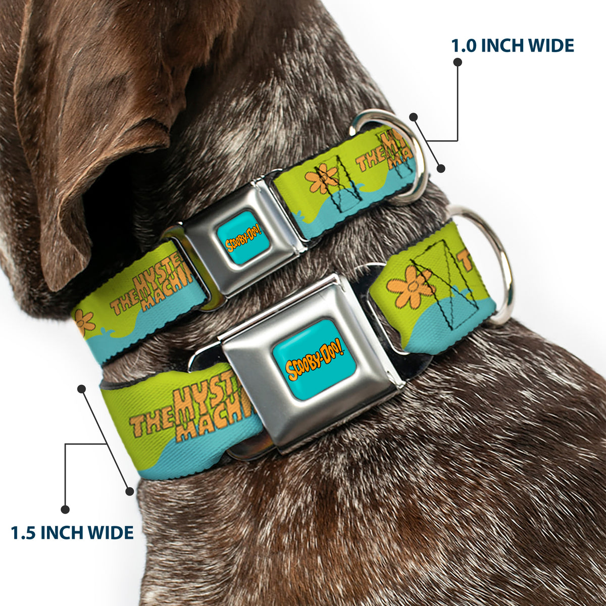 SCOOBY DOO! Text Logo Full Color Aqua/Orange Seatbelt Buckle Collar - Scooby Doo THE MYSTERY MACHINE Paint Job Green/Aqua/Orange Dog Collars Seatbelt Buckle Scooby Doo