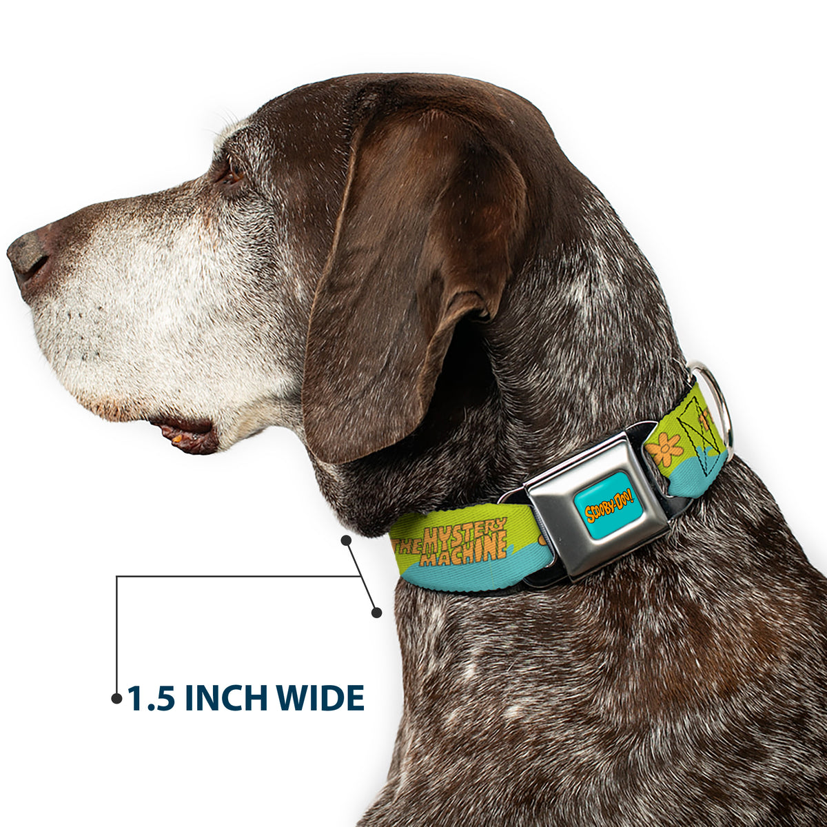 SCOOBY DOO! Text Logo Full Color Aqua/Orange Seatbelt Buckle Collar - Scooby Doo THE MYSTERY MACHINE Paint Job Green/Aqua/Orange Dog Collars Seatbelt Buckle Scooby Doo