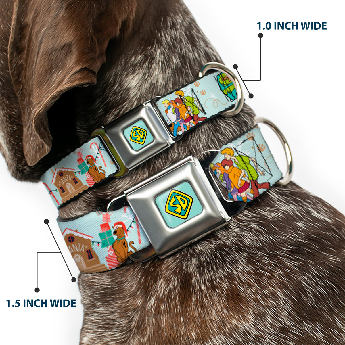 Scooby Doo SD Dog Tag Baby Blue Seatbelt Buckle Collar - Scooby Doo Holiday Scenes and Icons Baby Blue Dog Collars Seatbelt Buckle Scooby Doo