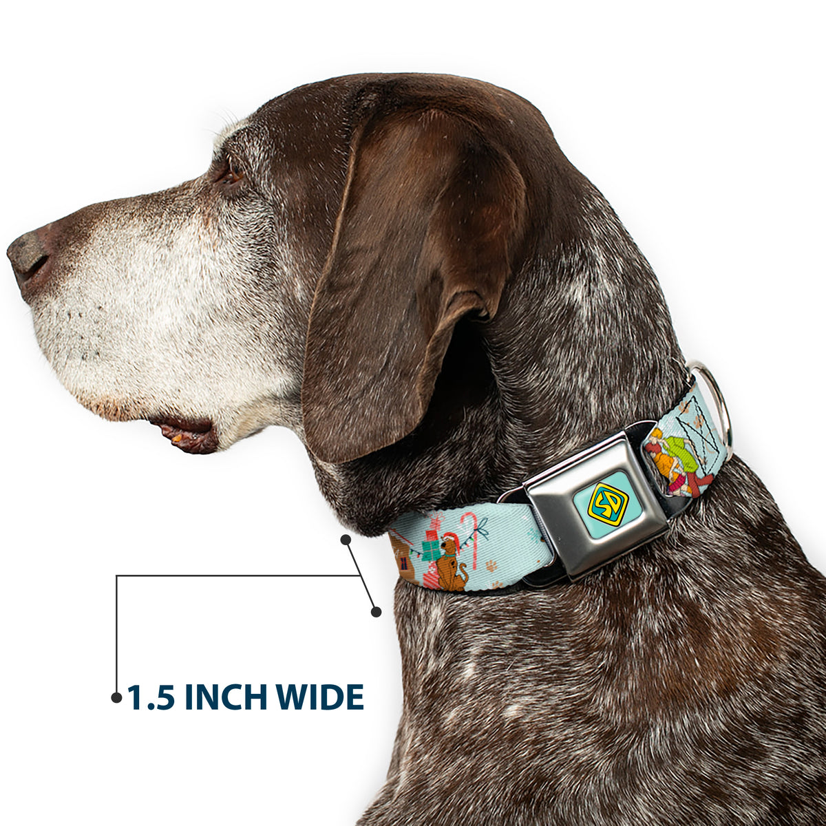 Scooby Doo SD Dog Tag Baby Blue Seatbelt Buckle Collar - Scooby Doo Holiday Scenes and Icons Baby Blue Dog Collars Seatbelt Buckle Scooby Doo