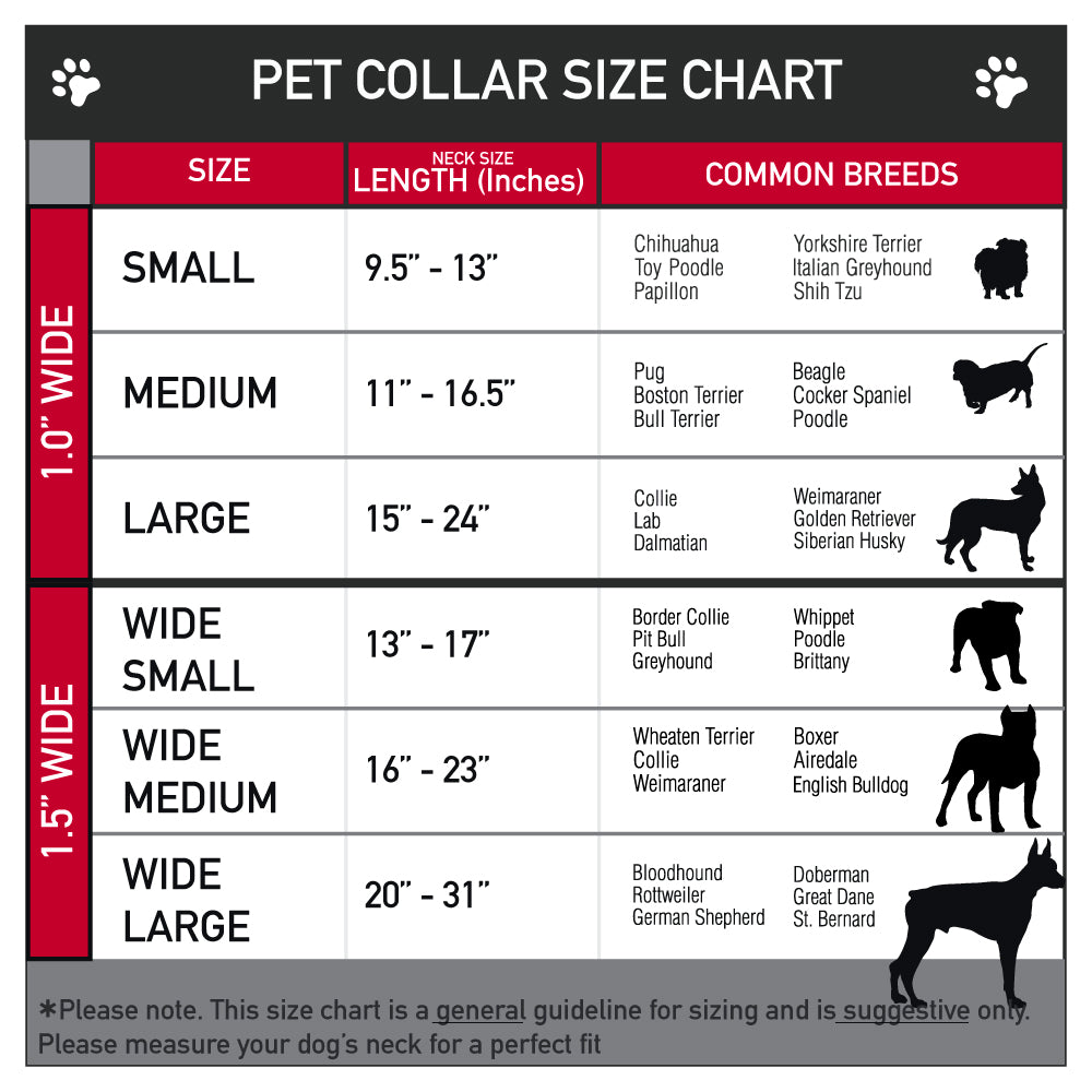 Mickey Mouse Expression2 Full Color Black Neon Green Seatbelt Buckle Collar - Mickey Expressions Black/Multi Neon Dog Collars Seatbelt Buckle Disney