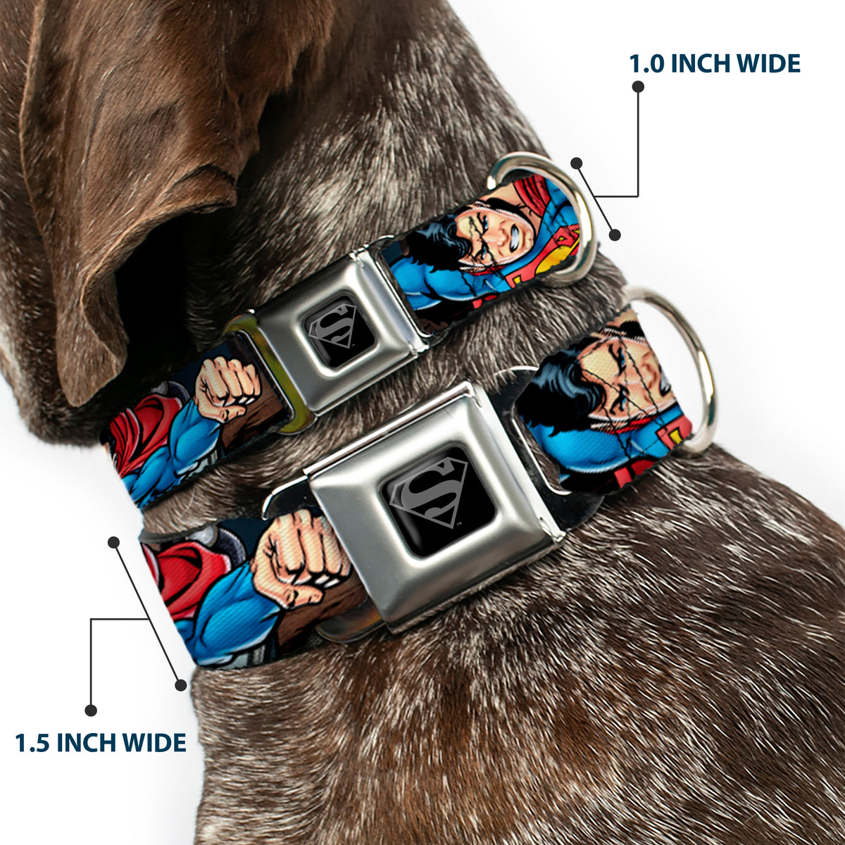 Superman Black/Silver Seatbelt Buckle Collar - Superman Metropolis Face-Off Dog Collars Seatbelt Buckle DC Comics