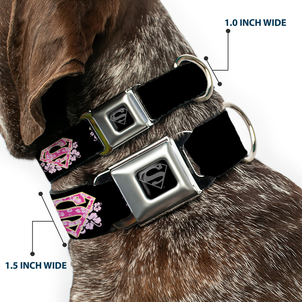 Superman Black Silver Seatbelt Buckle Collar - Super Shield Hibiscus Design Black/Pink Dog Collars Seatbelt Buckle DC Comics