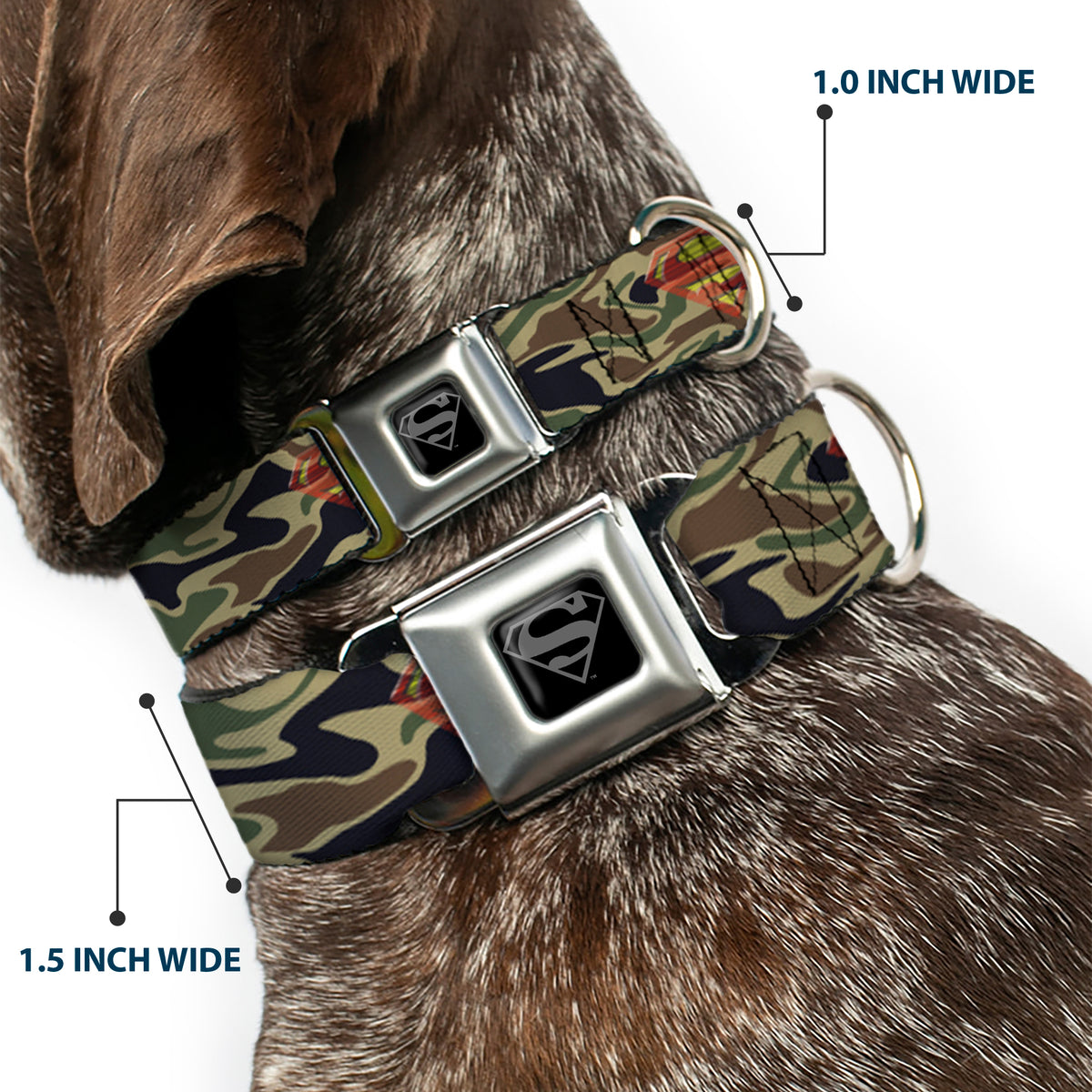 Superman Black Silver Seatbelt Buckle Collar - Superman Shield Camo Olive Dog Collars Seatbelt Buckle DC Comics