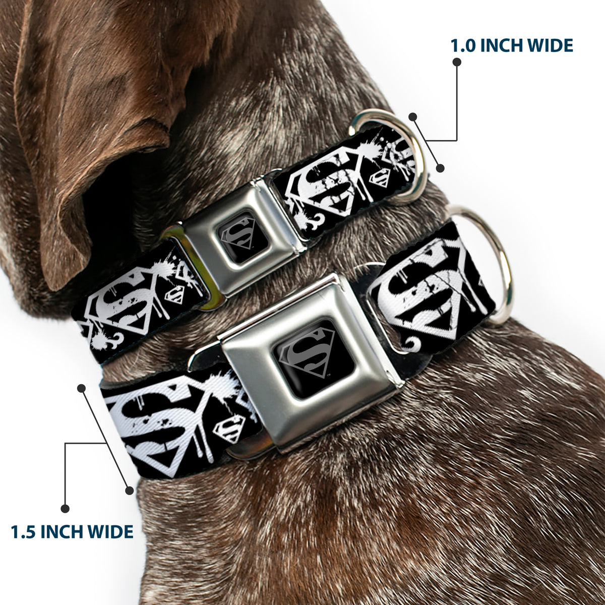 Superman Black Silver Seatbelt Buckle Collar - Superman Shield Splatter Black/White Dog Collars Seatbelt Buckle DC Comics