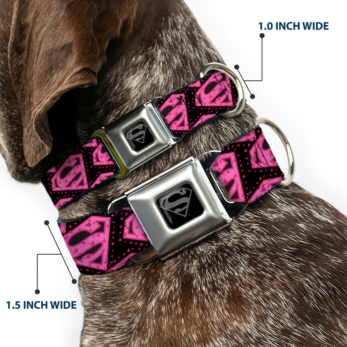 Superman Black Silver Seatbelt Buckle Collar - Diagonal Superman Logo w/Hearts Black/Pink Dog Collars Seatbelt Buckle DC Comics