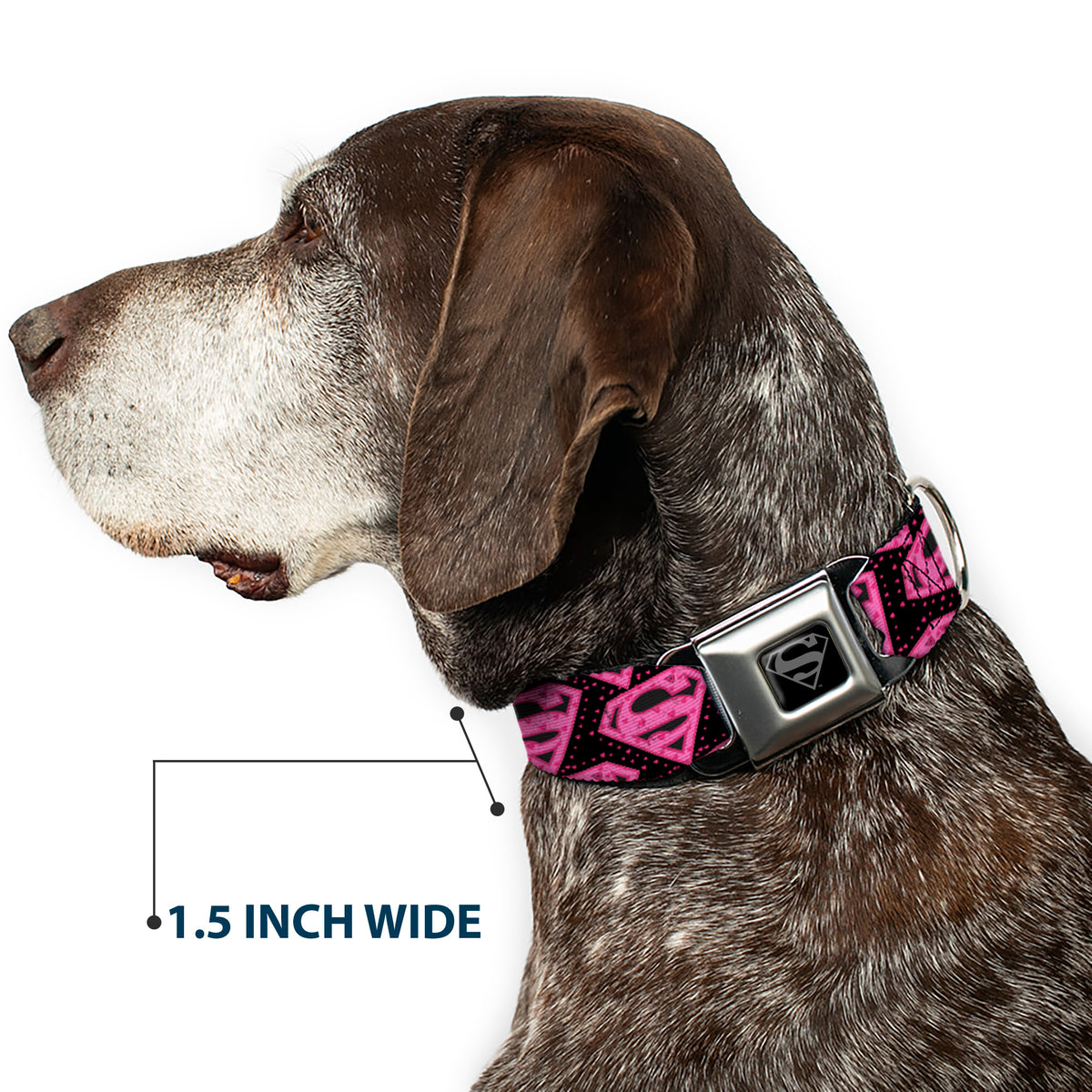 Superman Black Silver Seatbelt Buckle Collar - Diagonal Superman Logo w/Hearts Black/Pink Dog Collars Seatbelt Buckle DC Comics