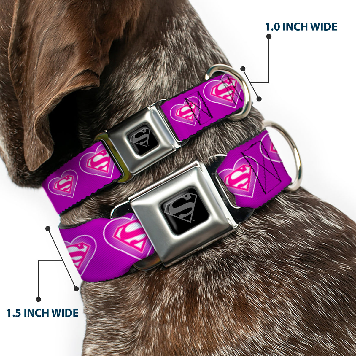 Superman Black Silver Seatbelt Buckle Collar - Superman Logo in Heart Purple/White/Pink Dog Collars Seatbelt Buckle DC Comics