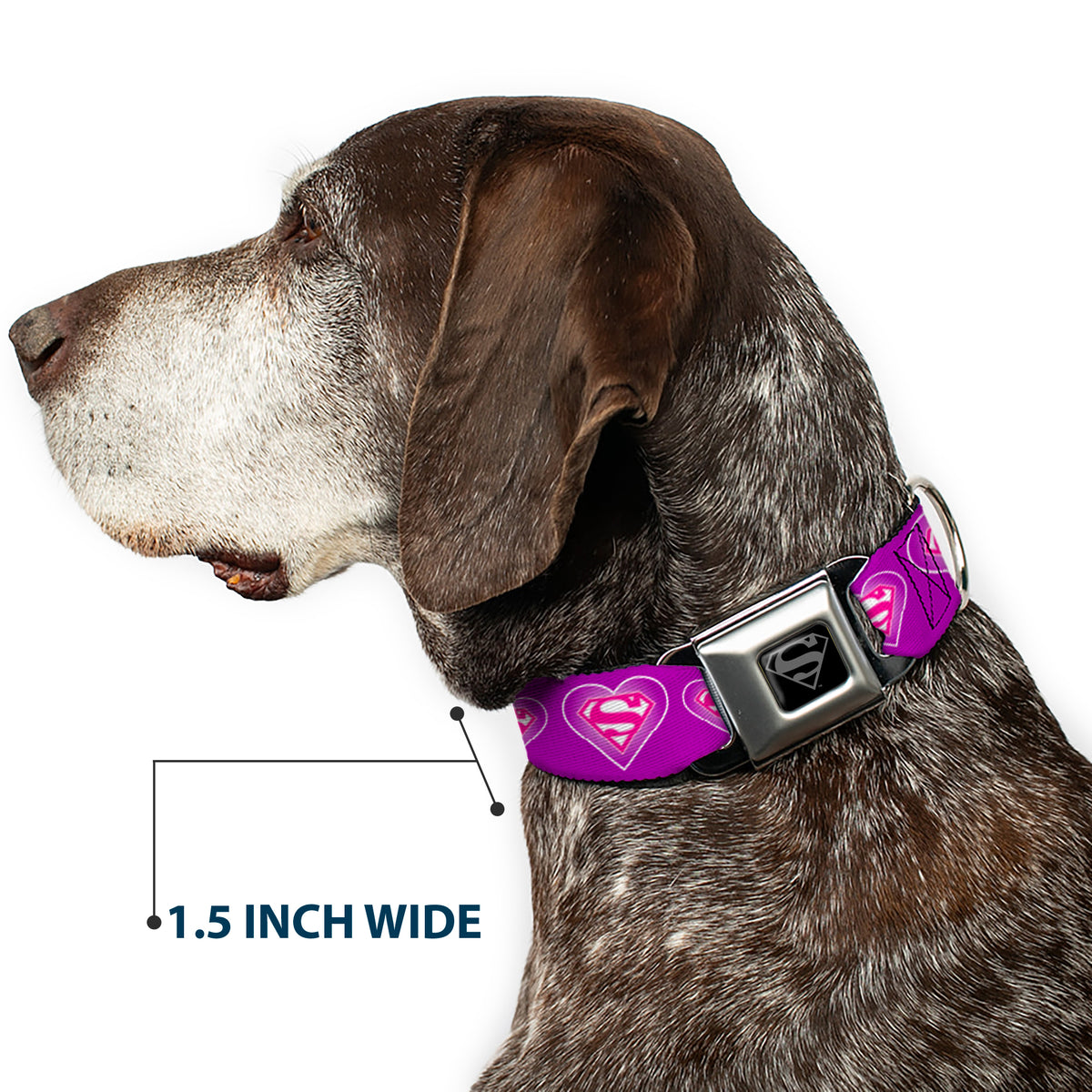 Superman Black Silver Seatbelt Buckle Collar - Superman Logo in Heart Purple/White/Pink Dog Collars Seatbelt Buckle DC Comics