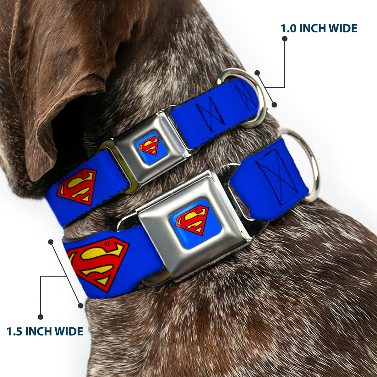 Superman Full Color Blue Seatbelt Buckle Collar - Superman Shield Blue Dog Collars Seatbelt Buckle DC Comics