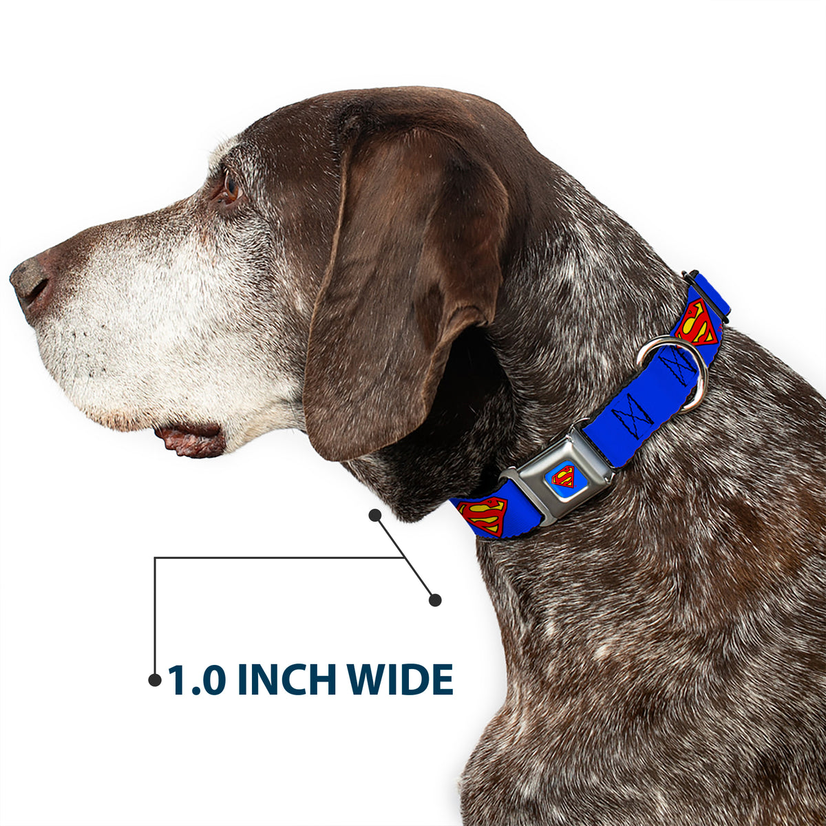 Superman Full Color Blue Seatbelt Buckle Collar - Superman Shield Blue Dog Collars Seatbelt Buckle DC Comics