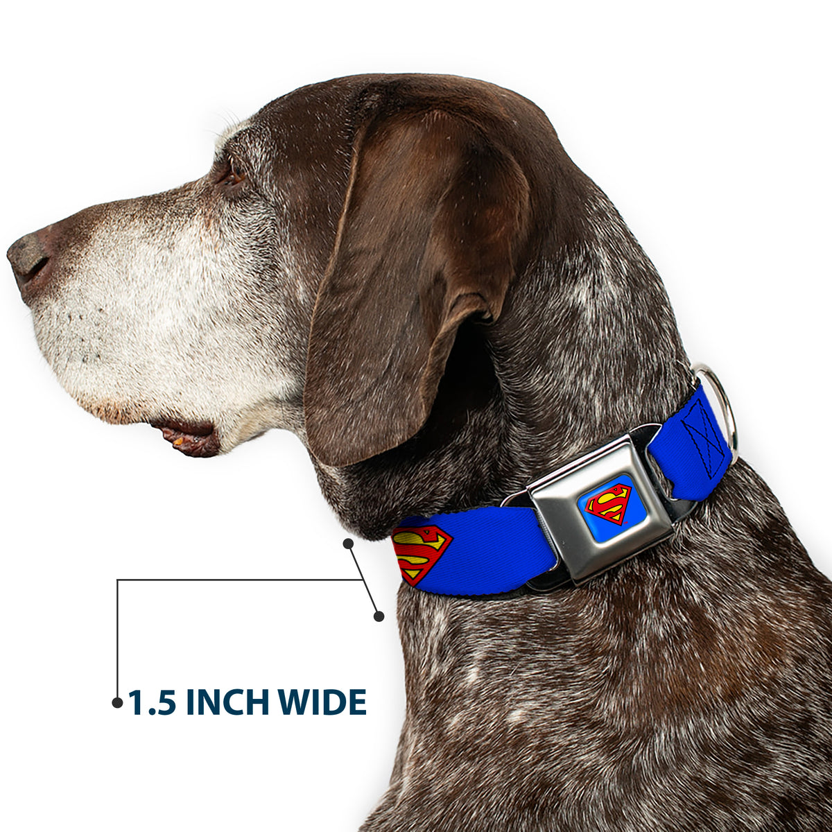 Superman Full Color Blue Seatbelt Buckle Collar - Superman Shield Blue Dog Collars Seatbelt Buckle DC Comics