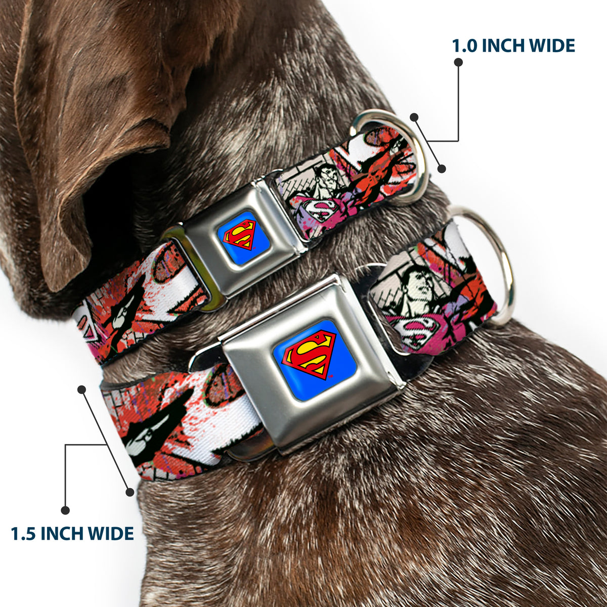 Superman Full Color Blue Seatbelt Buckle Collar - Superman Color Flying Bricks Scene Dog Collars Seatbelt Buckle DC Comics