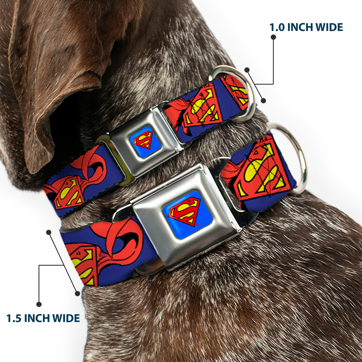 Superman Full Color Blue Seatbelt Buckle Collar - Superman Shield w/Cape Dog Collars Seatbelt Buckle DC Comics