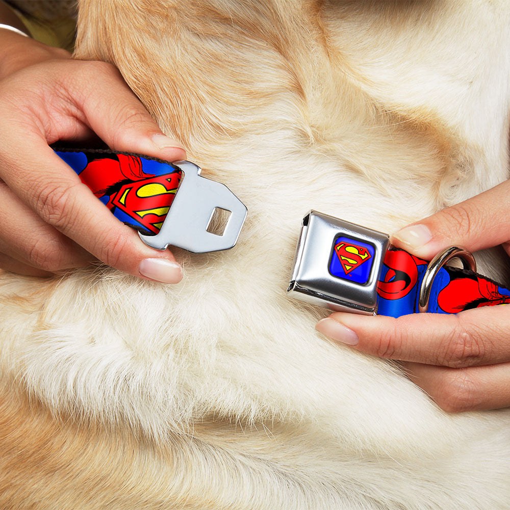 Superman Full Color Blue Seatbelt Buckle Collar - Superman Shield w/Cape Dog Collars Seatbelt Buckle DC Comics