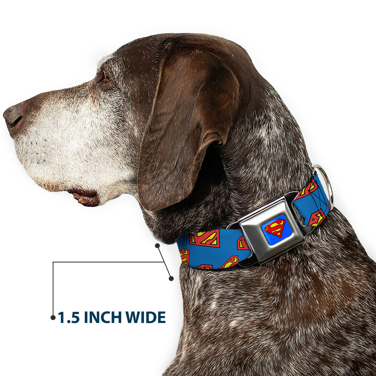 Superman Full Color Blue Seatbelt Buckle Collar - Super Shield Diagonal Royal Blue/Red Dog Collars Seatbelt Buckle DC Comics