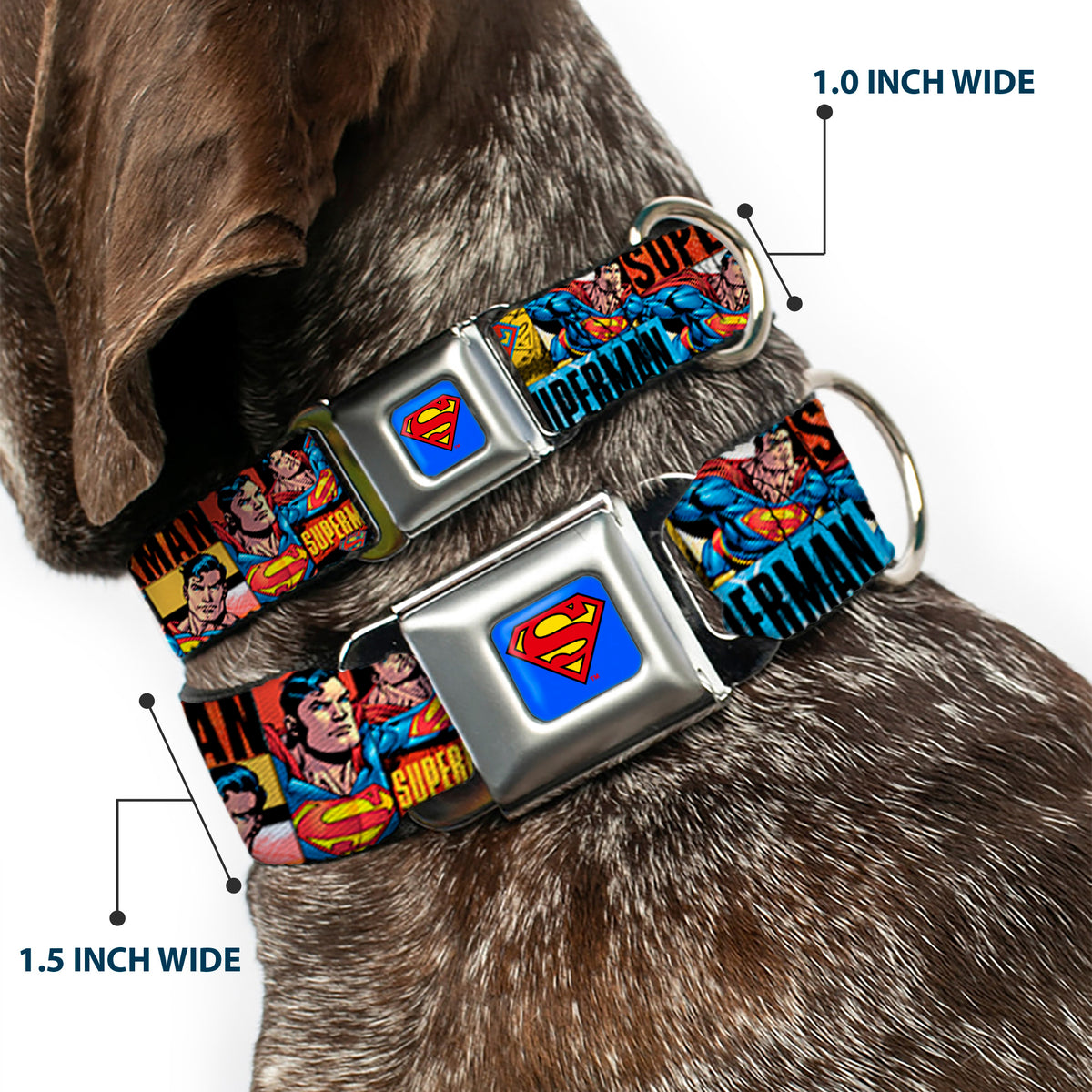 Superman Full Color Blue Seatbelt Buckle Collar - SUPERMAN Action Blocks Red/Blue Dog Collars Seatbelt Buckle DC Comics