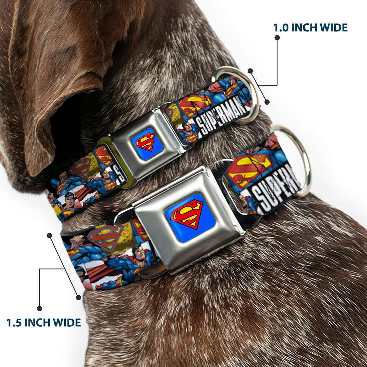 Superman Full Color Blue Seatbelt Buckle Collar - SUPERMAN Action Blocks White Dog Collars Seatbelt Buckle DC Comics