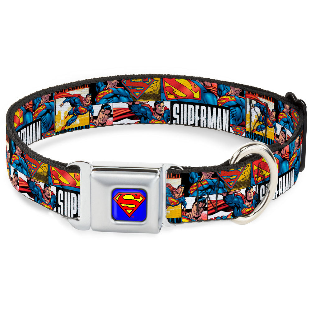 Superman Full Color Blue Seatbelt Buckle Collar - SUPERMAN Action Blocks White Dog Collars Seatbelt Buckle DC Comics