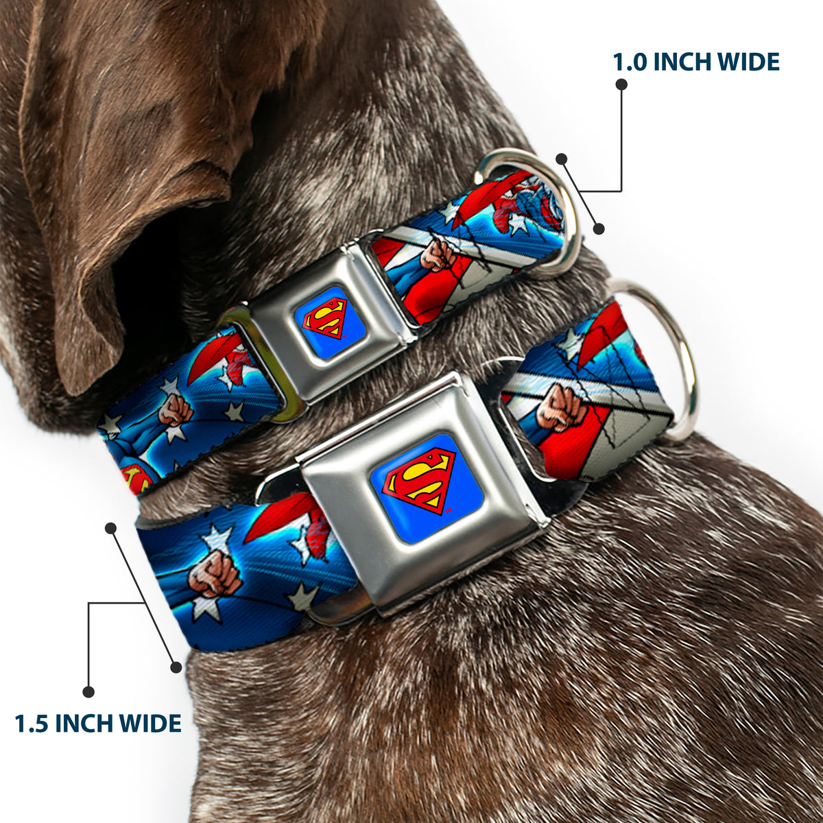 Superman Full Color Blue Seatbelt Buckle Collar - Superman Action Poses/Stars & Stripes Dog Collars Seatbelt Buckle DC Comics