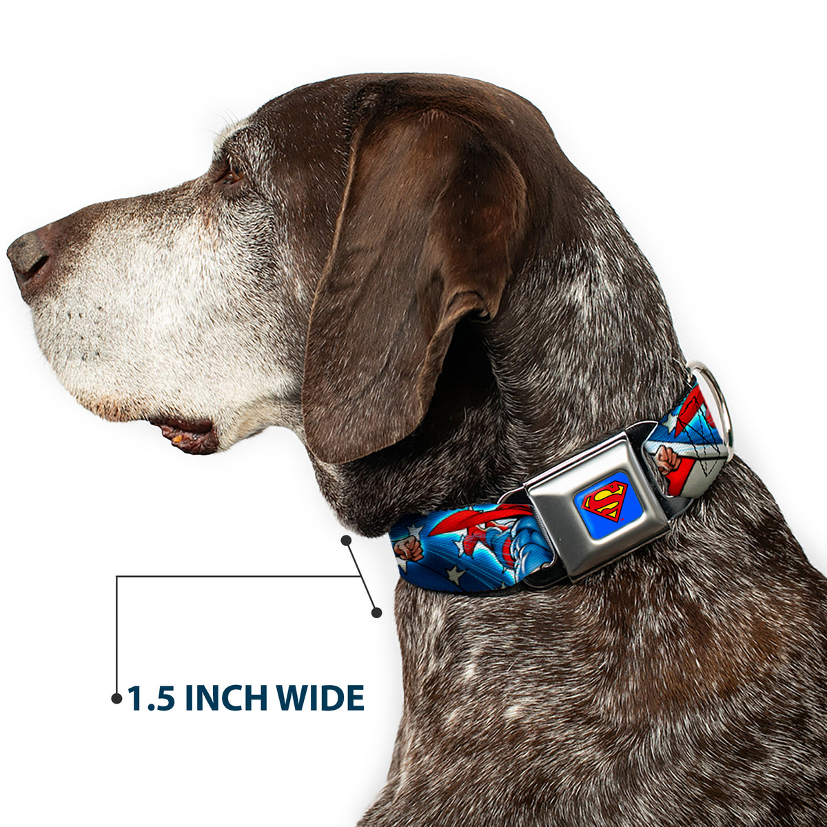 Superman Full Color Blue Seatbelt Buckle Collar - Superman Action Poses/Stars & Stripes Dog Collars Seatbelt Buckle DC Comics