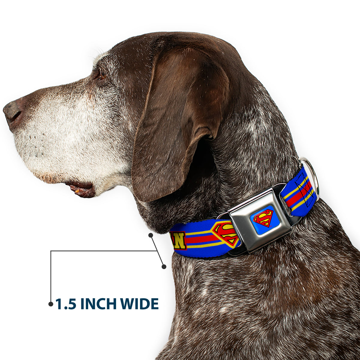 Superman Full Color Blue Seatbelt Buckle Collar - SUPERMAN/Shield Stripe Blue/Yellow/Red Dog Collars Seatbelt Buckle DC Comics