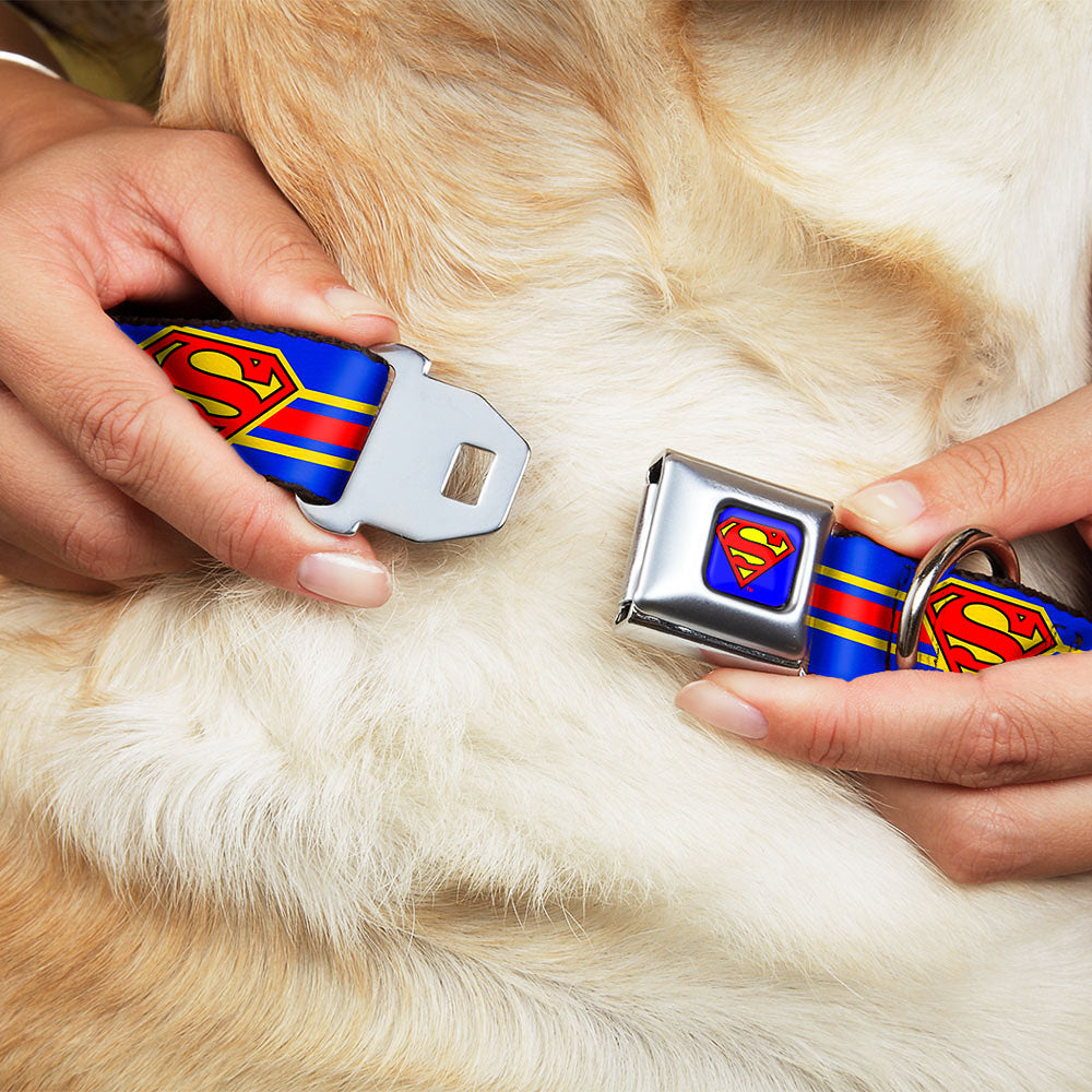 Superman Full Color Blue Seatbelt Buckle Collar - SUPERMAN/Shield Stripe Blue/Yellow/Red Dog Collars Seatbelt Buckle DC Comics