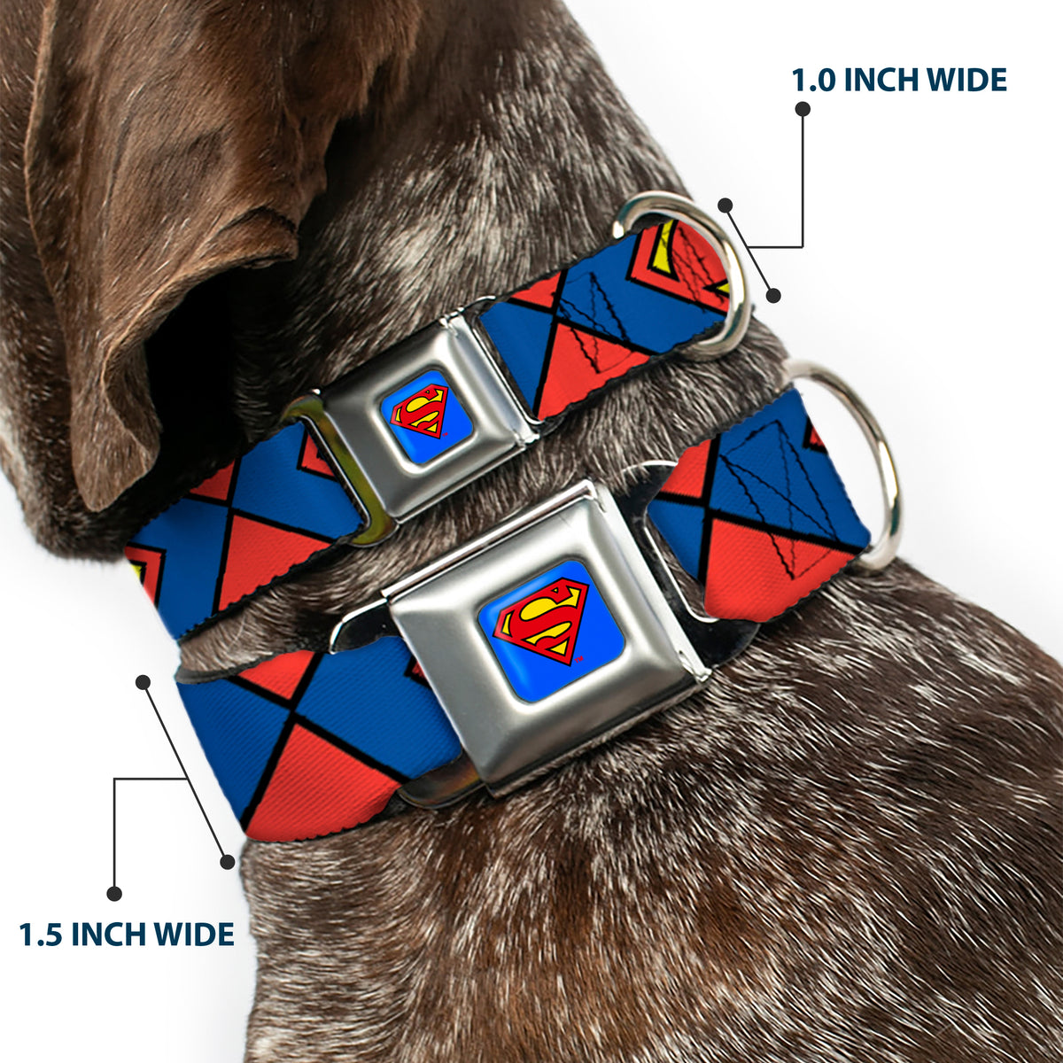 Superman Blue Seatbelt Buckle Collar - Superman Shield CLOSE-UP Blue/Red/Yellow Dog Collars Seatbelt Buckle DC Comics