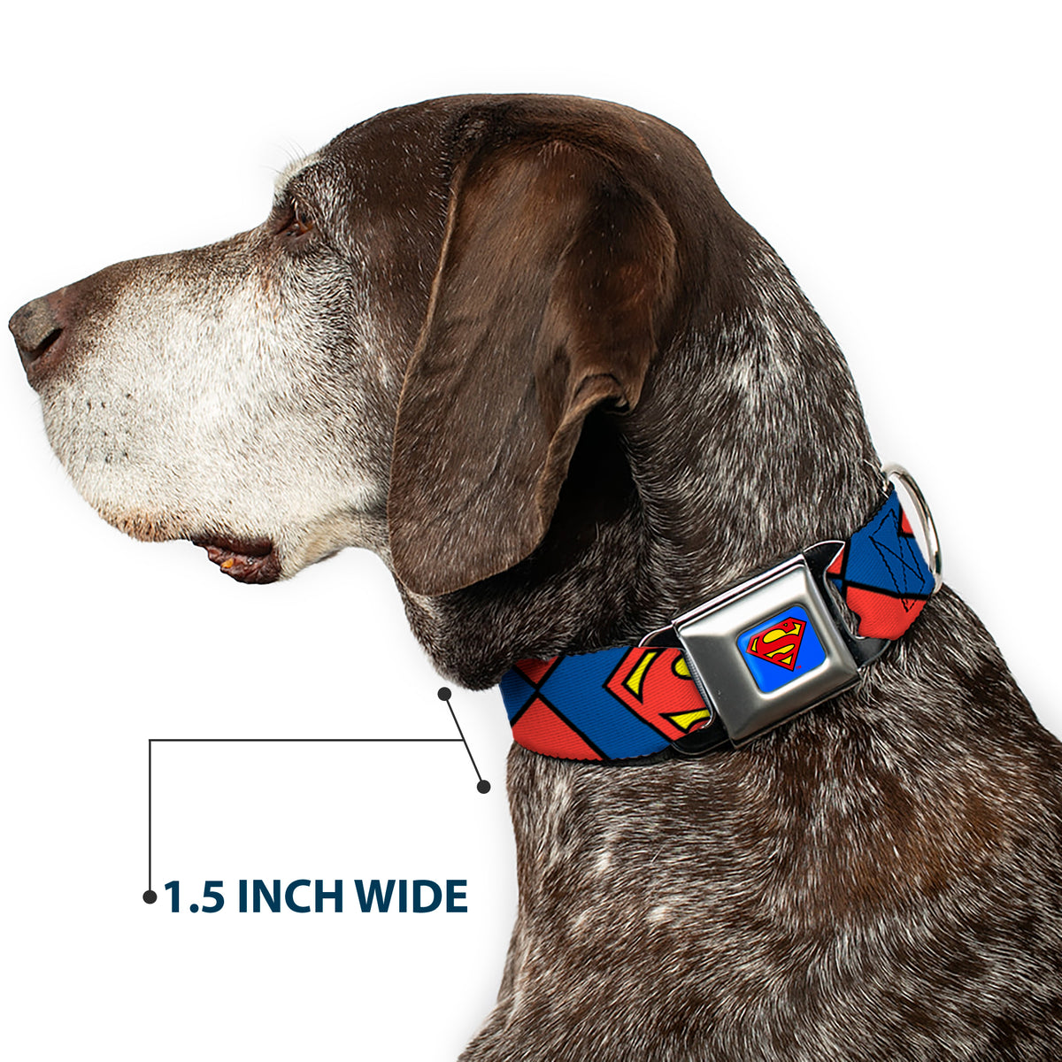Superman Blue Seatbelt Buckle Collar - Superman Shield CLOSE-UP Blue/Red/Yellow Dog Collars Seatbelt Buckle DC Comics
