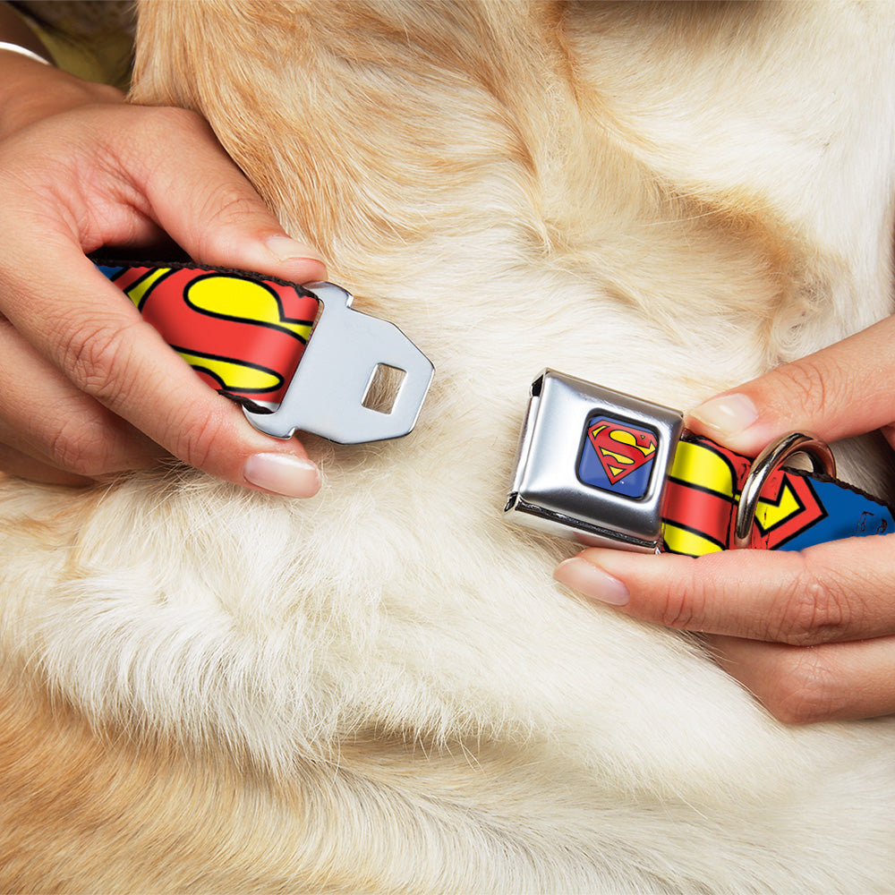 Superman Blue Seatbelt Buckle Collar - Superman Shield CLOSE-UP Blue/Red/Yellow Dog Collars Seatbelt Buckle DC Comics