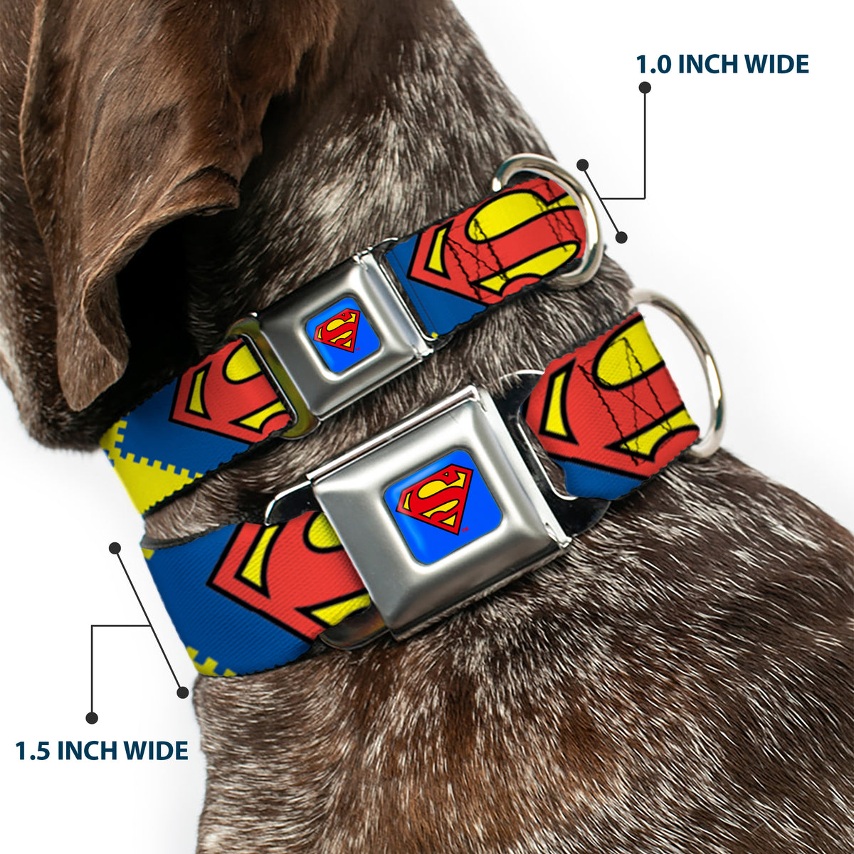 Superman Blue Seatbelt Buckle Collar - Jagged Superman Shield CLOSE-UP Yellow/Blue/Red Dog Collars Seatbelt Buckle DC Comics