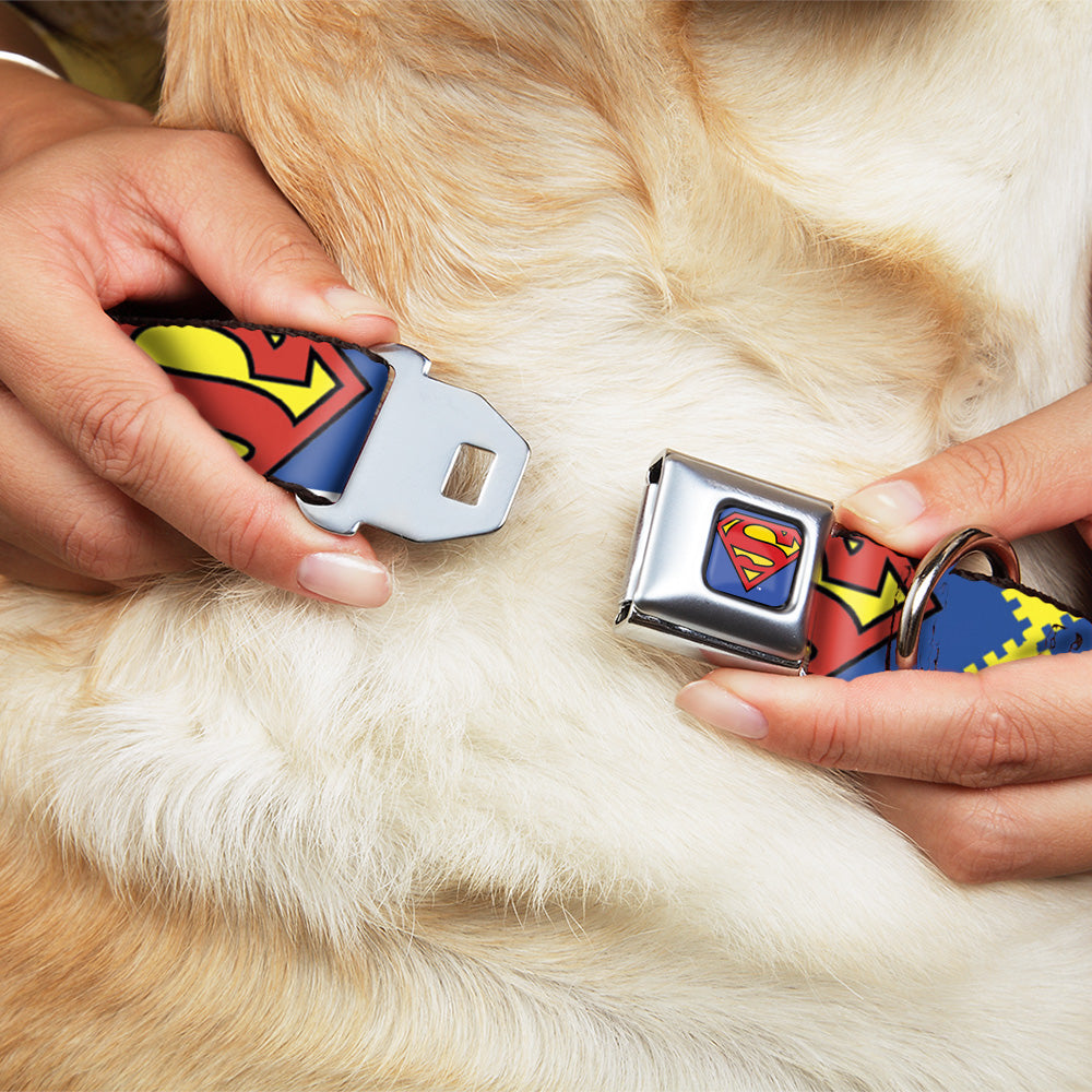 Superman Blue Seatbelt Buckle Collar - Jagged Superman Shield CLOSE-UP Yellow/Blue/Red Dog Collars Seatbelt Buckle DC Comics