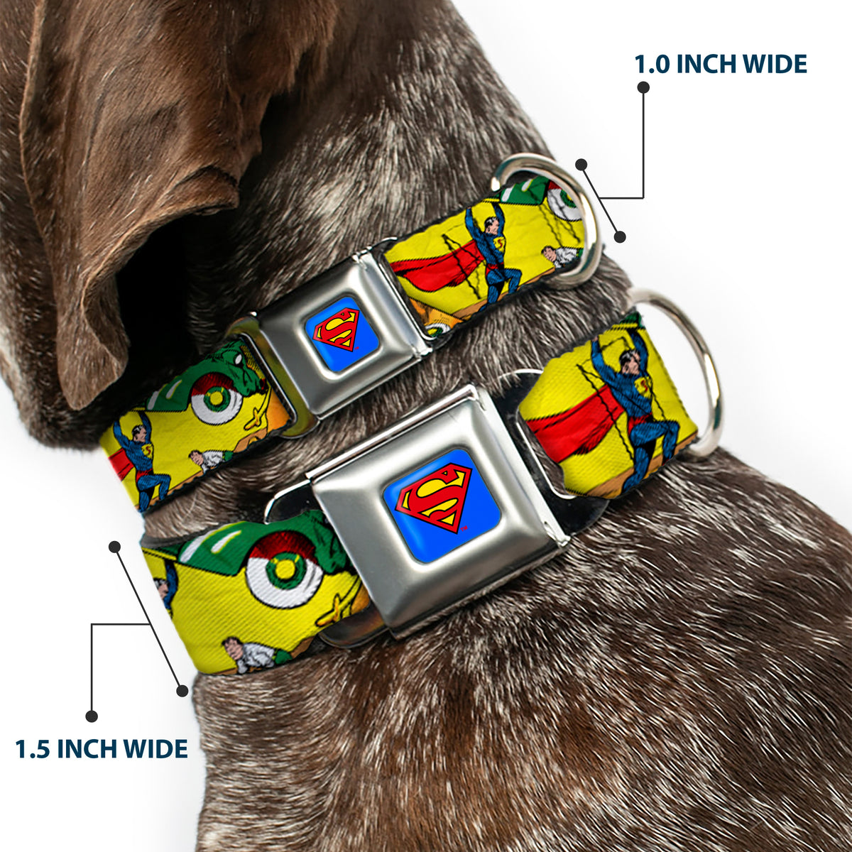 Superman Blue Seatbelt Buckle Collar - Classic ACTION COMICS Issue #1 Cover Superman Lifting Car Stacked Dog Collars Seatbelt Buckle DC Comics