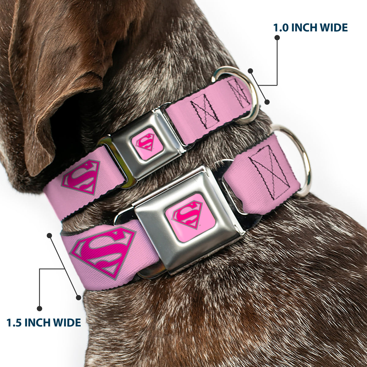 Superman Full Color Pink Seatbelt Buckle Collar - Superman Shield Pink Dog Collars Seatbelt Buckle DC Comics