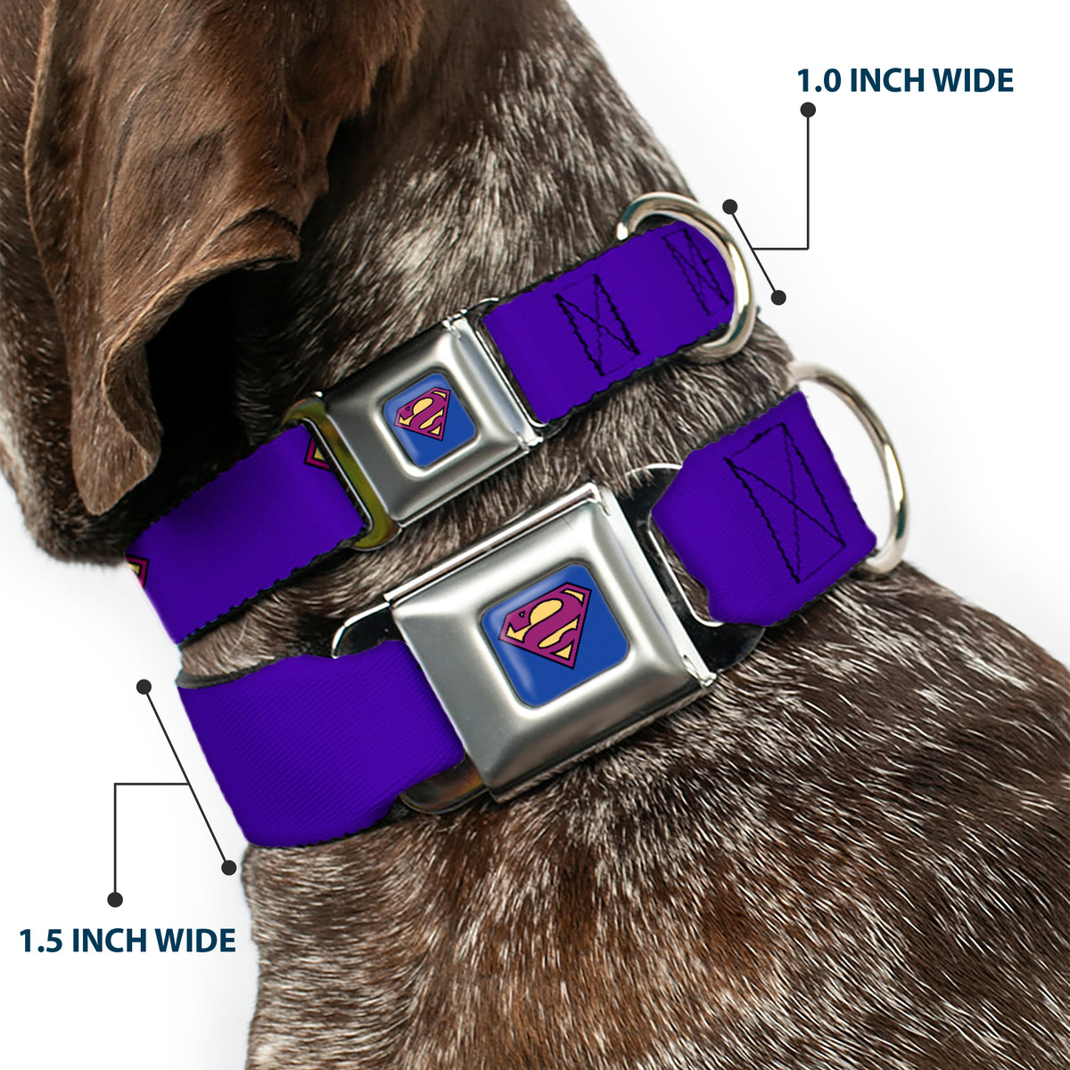 Bizzaro Logo Full Color Blue Seatbelt Buckle Collar - Bizzaro Logo w/Bizzaro Pose Dog Collars Seatbelt Buckle DC Comics