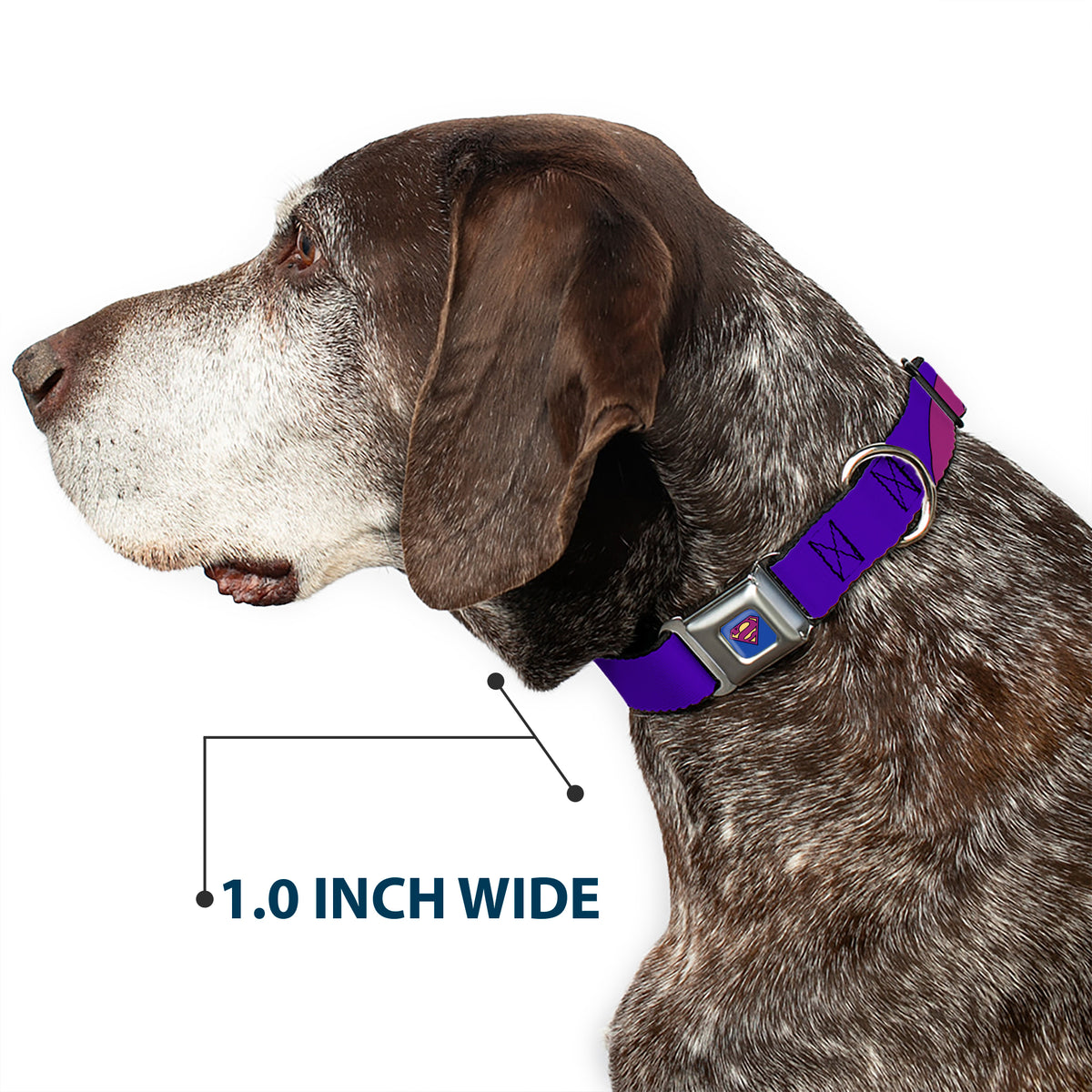 Bizzaro Logo Full Color Blue Seatbelt Buckle Collar - Bizzaro Logo w/Bizzaro Pose Dog Collars Seatbelt Buckle DC Comics