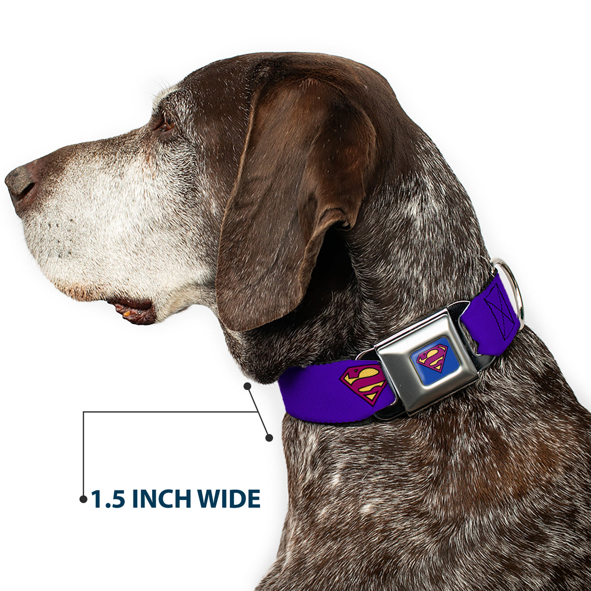Bizzaro Logo Full Color Blue Seatbelt Buckle Collar - Bizzaro Logo w/Bizzaro Pose Dog Collars Seatbelt Buckle DC Comics