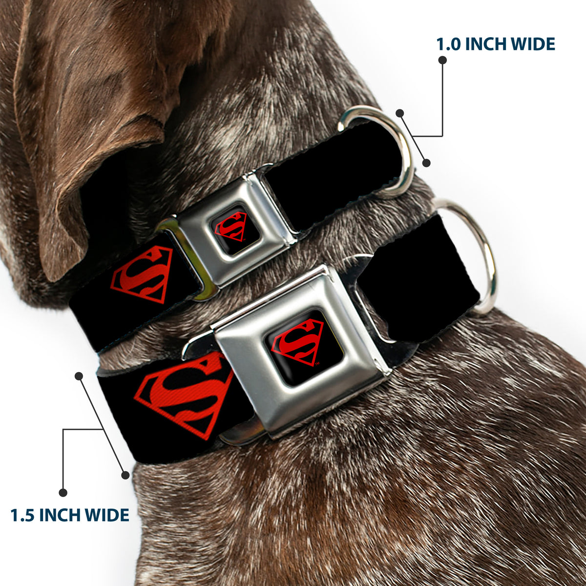 Superboy Shield Black/Red Seatbelt Buckle Collar - Superboy Shield Black/Red Dog Collars Seatbelt Buckle DC Comics