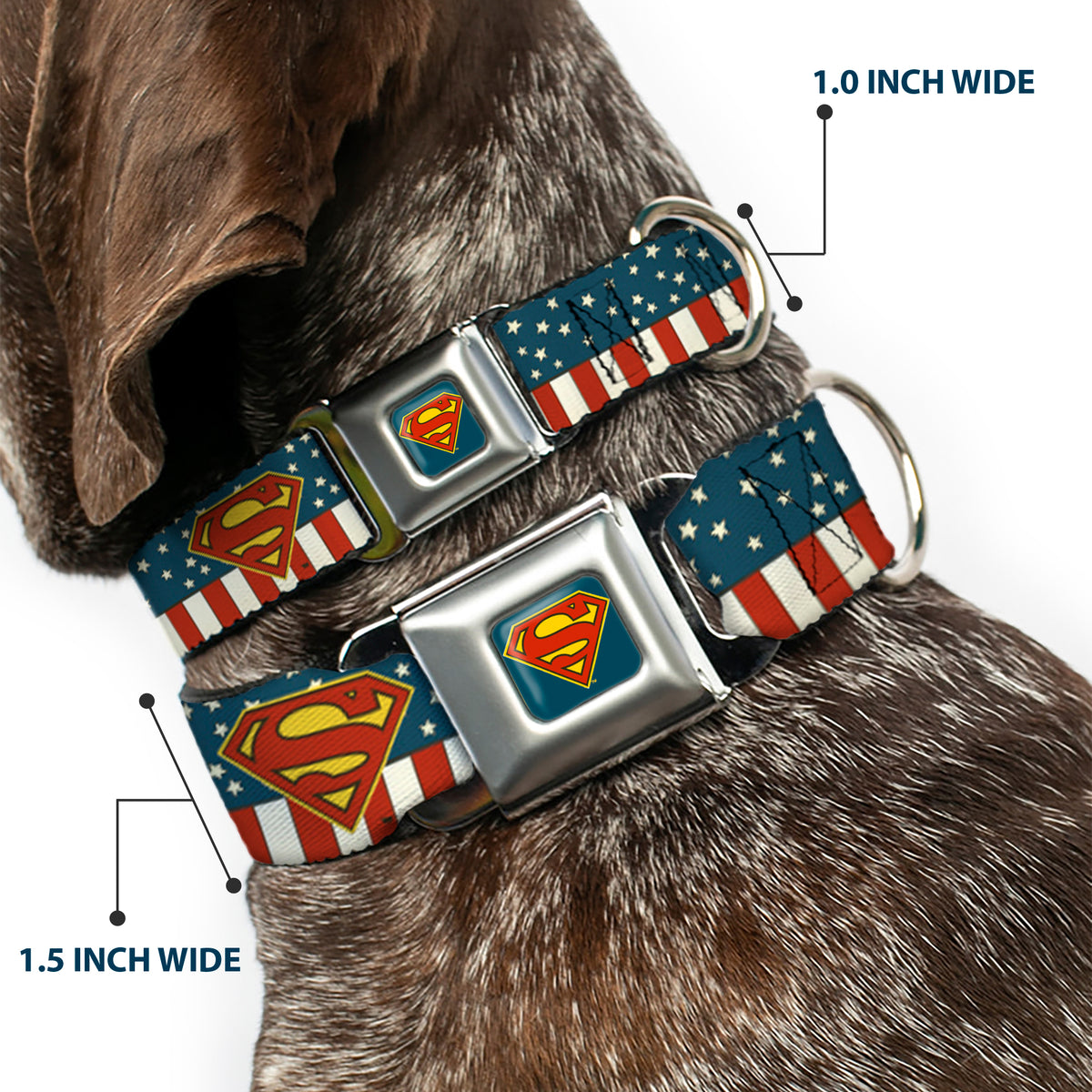 Superman Shield Full Color Americana Blue Seatbelt Buckle Collar - Superman Shield Americana Red/White/Blue/Yellow Dog Collars Seatbelt Buckle DC Comics