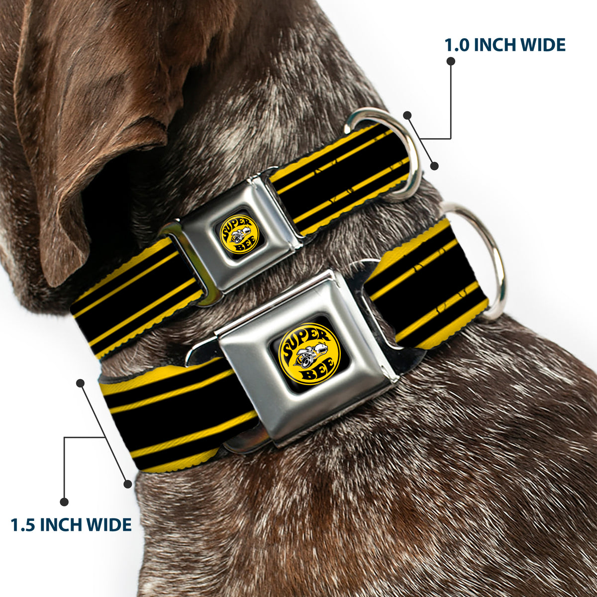SUPER BEE Logo Full Color Black/Yellow/White Seatbelt Buckle Collar - SUPER BEE Logo/Stripes Black/Yellow/White Dog Collars Seatbelt Buckle Dodge