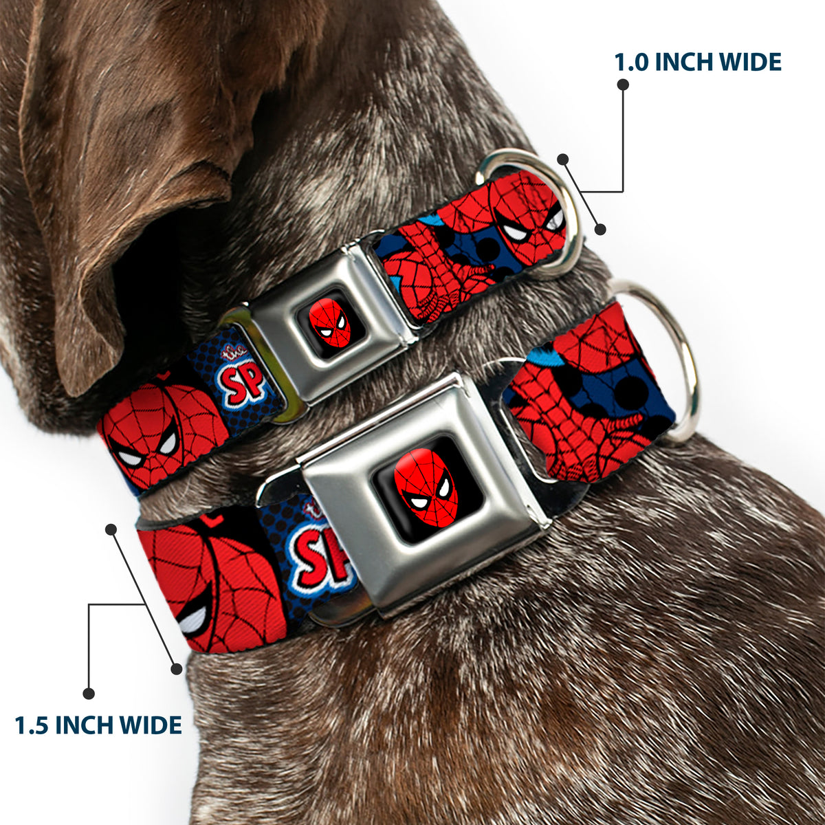 MARVEL UNIVERSE Spider-Man Full Color Seatbelt Buckle Collar - Amazing Spider-Man Dog Collars Seatbelt Buckle Marvel Comics