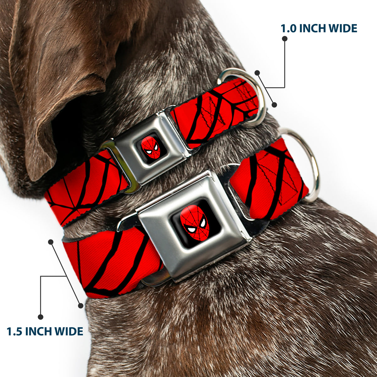 MARVEL UNIVERSE Spider-Man Full Color Seatbelt Buckle Collar - Spiderweb Red/Black Dog Collars Seatbelt Buckle Marvel Comics