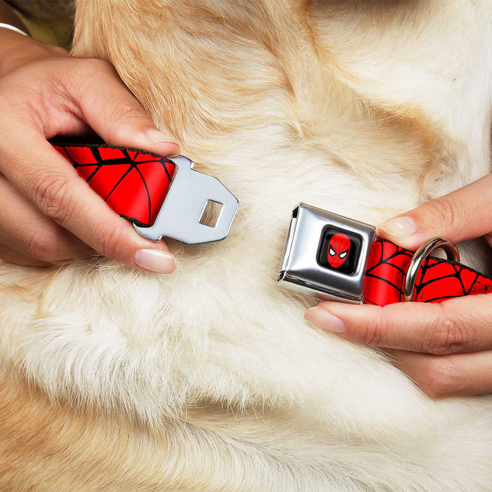 MARVEL UNIVERSE Spider-Man Full Color Seatbelt Buckle Collar - Spiderweb Red/Black Dog Collars Seatbelt Buckle Marvel Comics